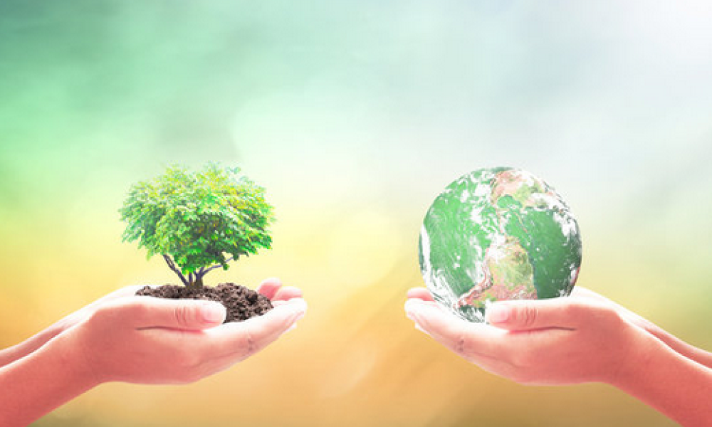 A RESPONSABILIDADE SOCIOAMBIENTAL COMO BANDEIRA DE LUTA MUNDIAL