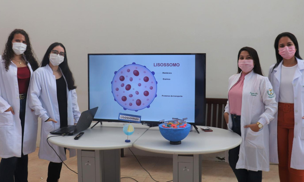 Alunos de Odontologia e Farmácia promovem exposição na Edufor